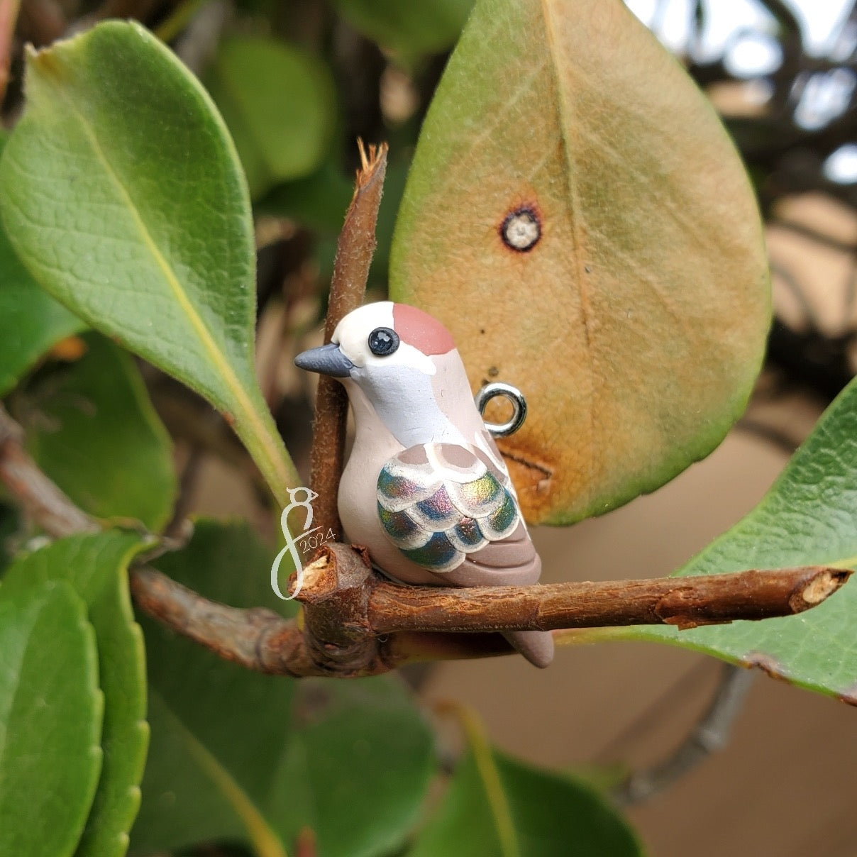 Common Bronzewing Charm