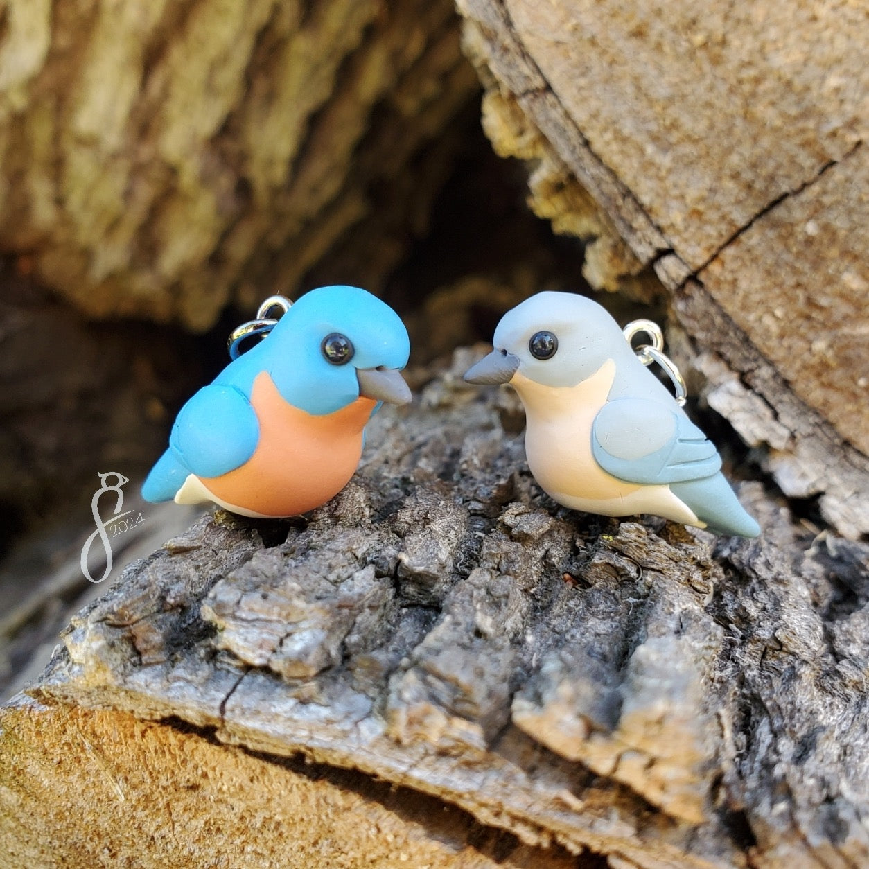 Eastern Bluebird Pair