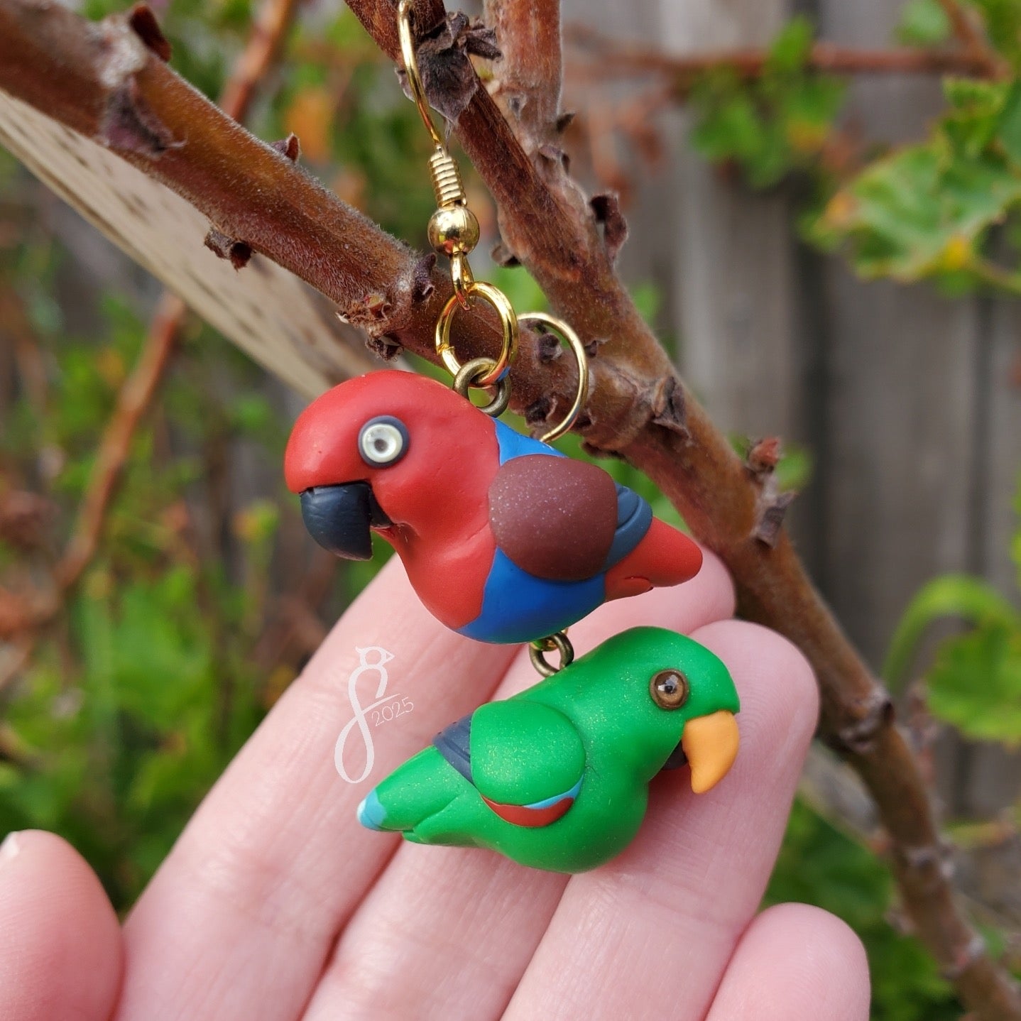 Eclectus Parrot Asymmetrical Earrings