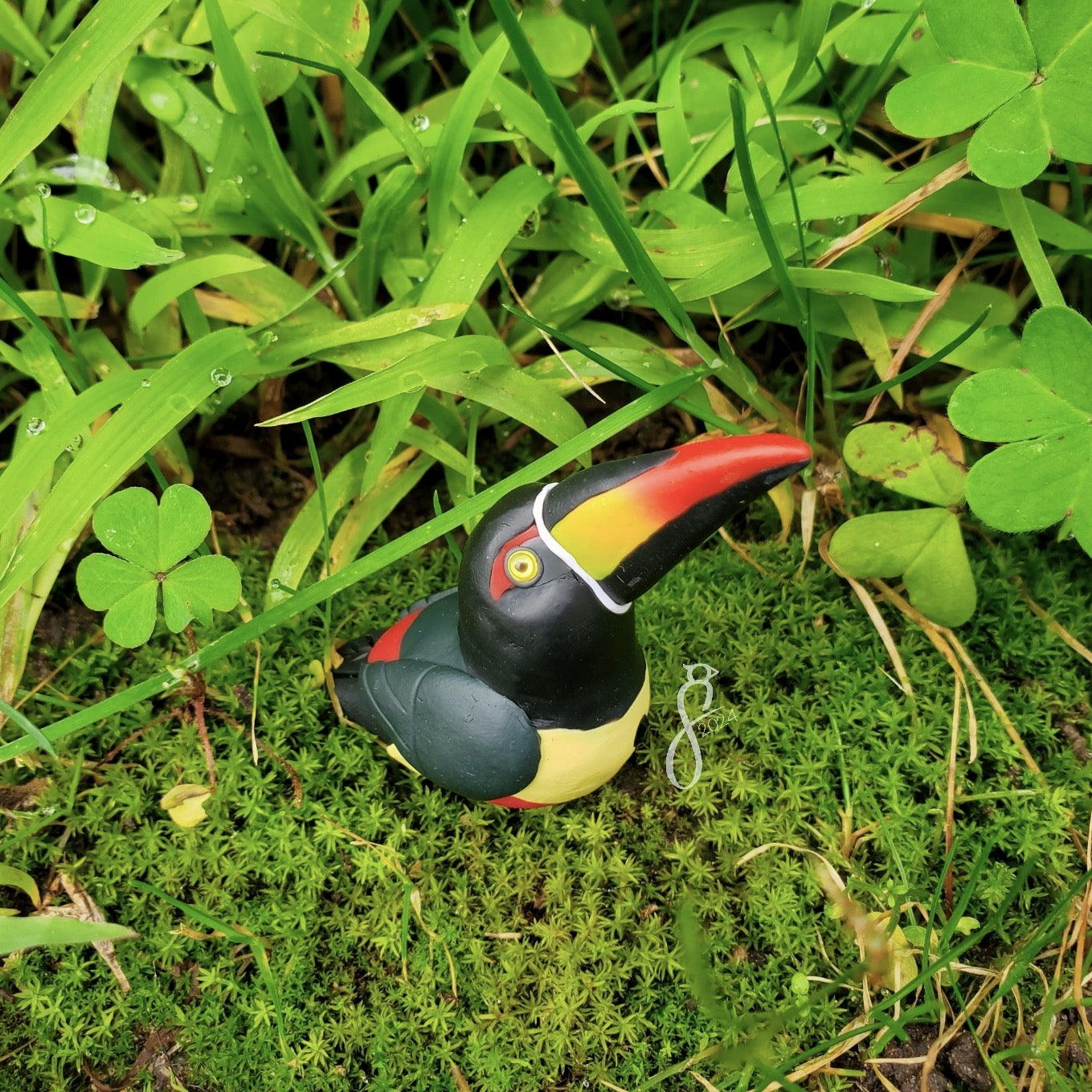 Fiery-Billed Aracari Ring Holder
