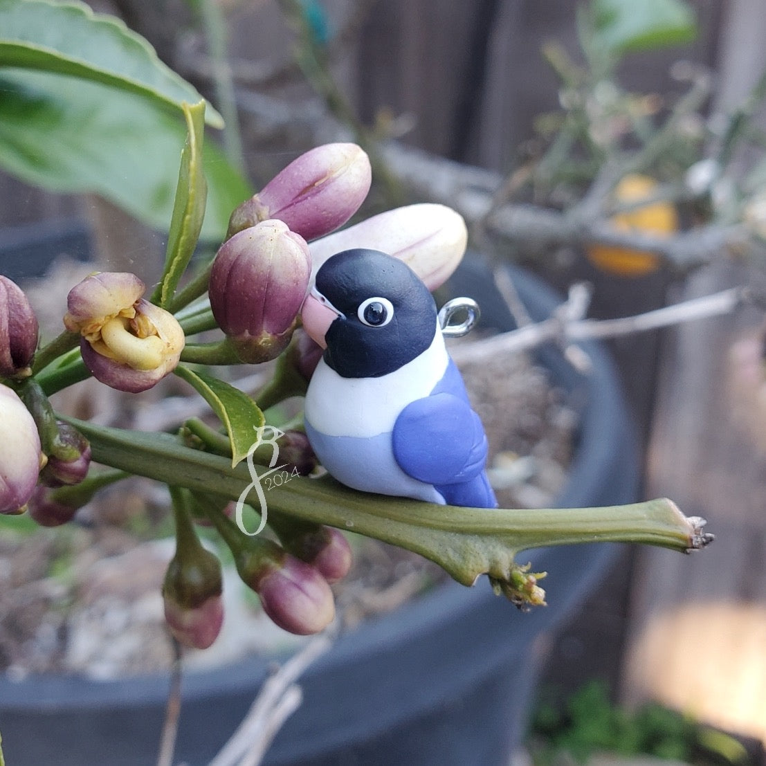 Violet Masked Lovebird Charm