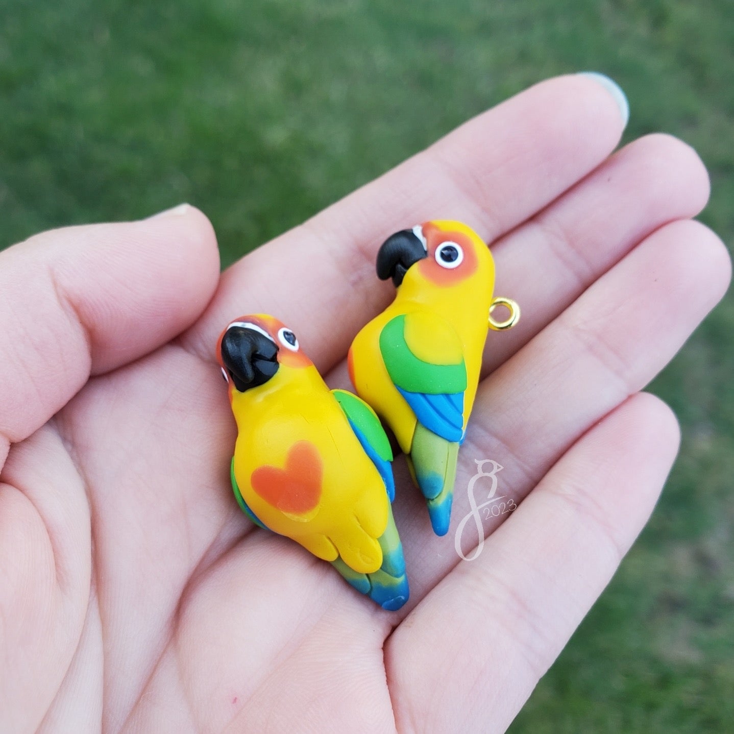 Sun Conure Charm