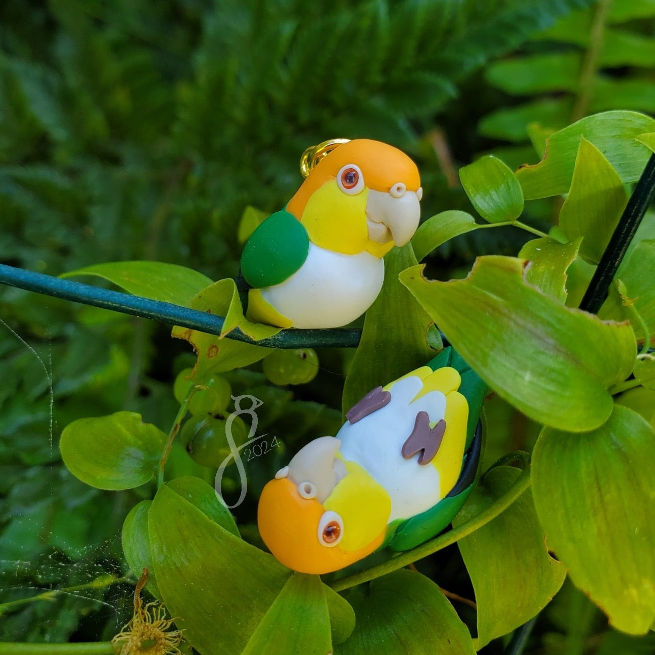 White-Bellied Caique Charm