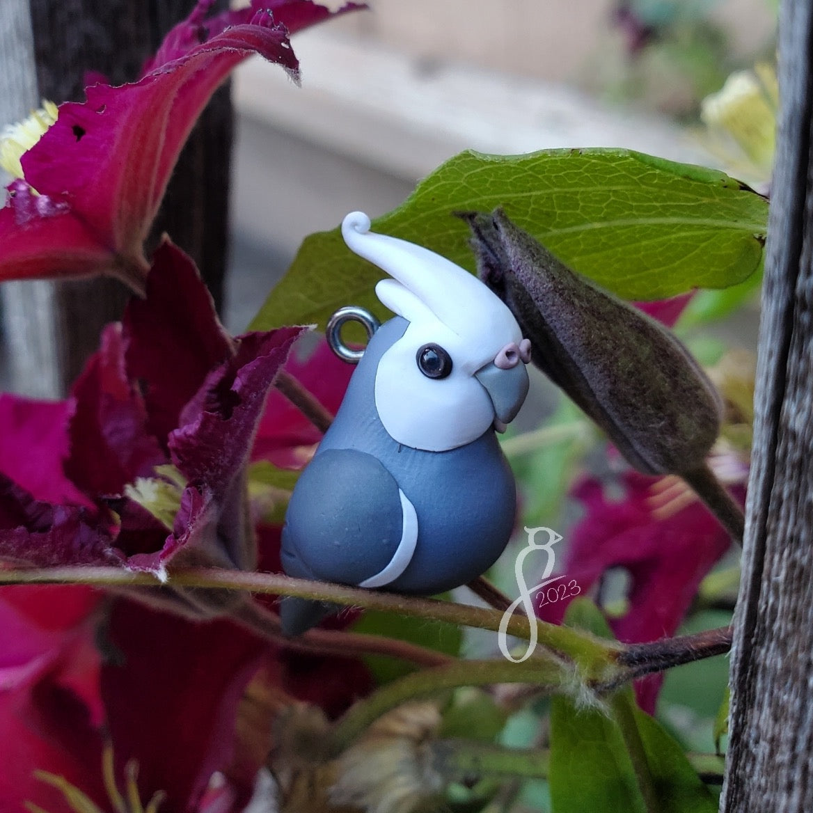 Whiteface Cockatiel Charm