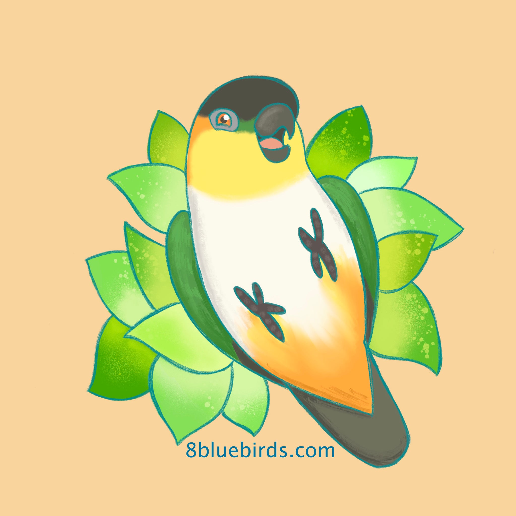 Playful Caique T-Shirt (BCC)